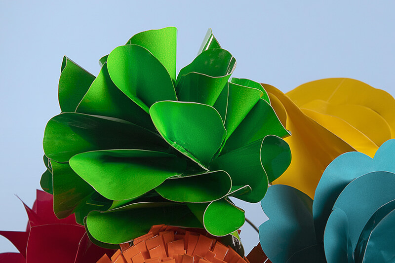 Perché scegliere un packaging ecosostenibile